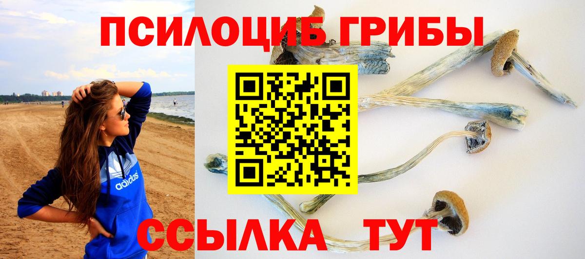 Псилоцибиновые грибы ЛСД  Вход с VPN  Ртищево 