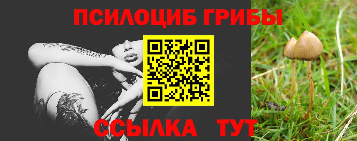 Галлюциногенные грибы MAGIC MUSHROOMS Ртищево